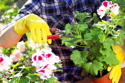Gardeners Aldgate pricing details for a transparent quote