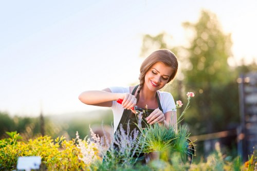 Healthy lawn care in Aldgate for a neat urban garden
