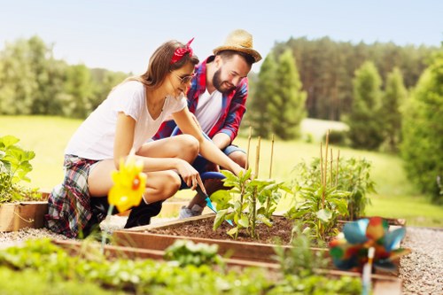 Patch repair and watering for lawn care in Aldgate