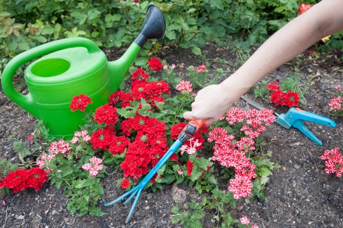 Aldgate lawn care service edging and mowing a tidy backyard lawn