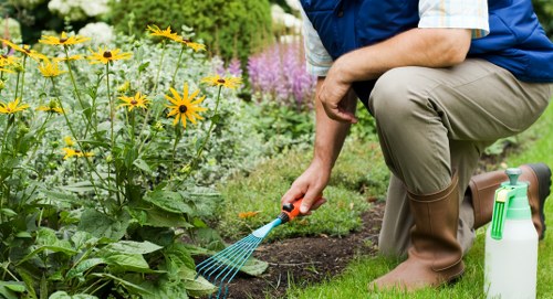Seasonal gardening services in Aldgate for residential and commercial properties
