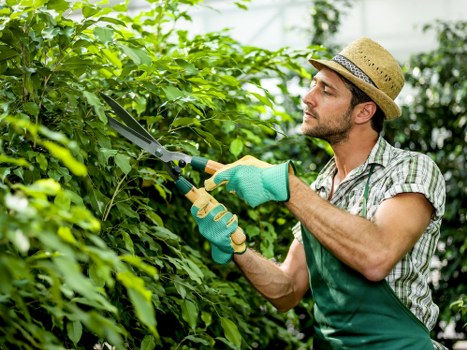 Green waste being removed during garden clearance in Aldgate