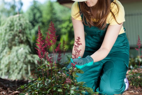 Green waste and garden debris prepared for lawful disposal