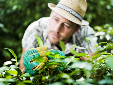 Low-carbon van used for sustainable garden waste collection