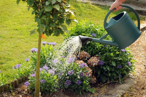Regular hedge maintenance keeping a residential garden neat in Aldgate