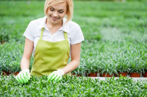 Professional garden maintenance in Aldgate with planting and pruning