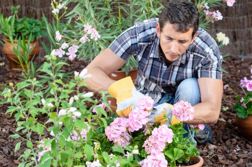 Supervisor checking records for a garden maintenance complaint