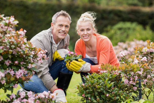 Long-lasting garden design and maintenance in Aldgate