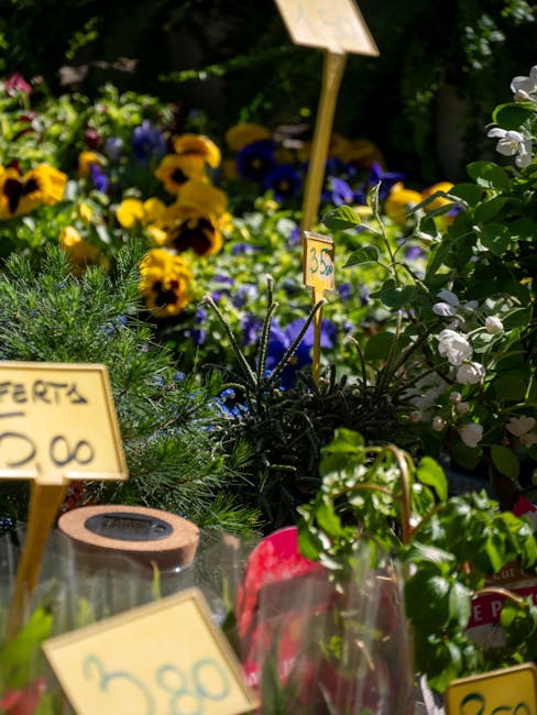 A vibrant garden scene featuring a variety of flowering plants and greenery. In the foreground, there are small potted plants with glossy green leaves and white blossoms, alongside colorful flowers li